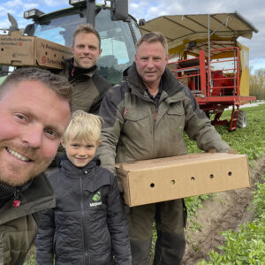 Mejnerts nye danske økologiske kartofler dyrket og høstet fa os på vestsjælland i økologisk dansk muld nyopgravet